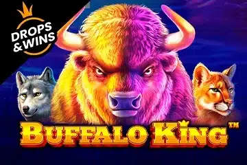 Buffalo King Buffalo King