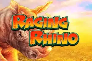 Raging Rhino Raging Rhino