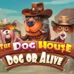 The Dog House – Dog or Alive
