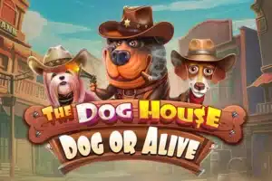 the-dog-house-dog-or-alive