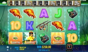 Gold Carp Bonanza