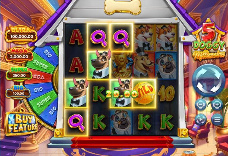 5 doggy millionaires big win