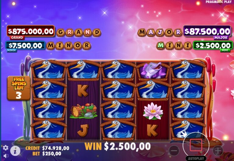 tiny toads bonus