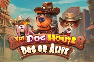 the-dog-house-dog-or-alive